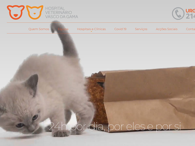 Veterinário 24 horas